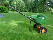 lawn picture