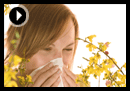 21 tips for helping you to allergy-proof your home