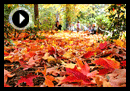 The top 5 tasks that you should do in the month of October