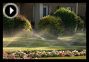 all about automatic lawn sprinklers