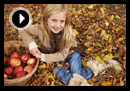 how-to guide and tips for autumn lawn care