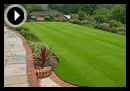lawn care tips for late spring
