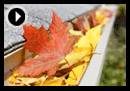 The top 5 tasks that you should do in the month of November