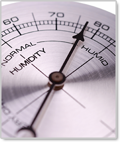 Reducing Humidity In Your Home Why How To